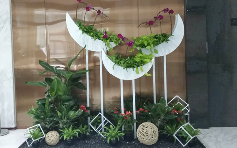 花卉摆放公司上门免费设计 绿植租赁价钱？