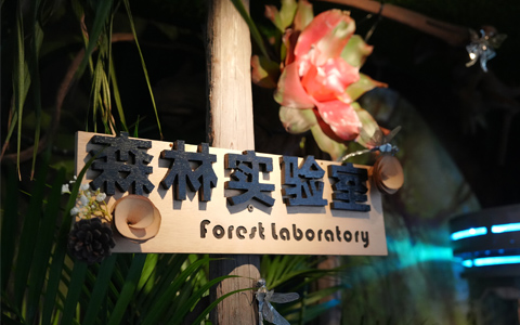 优异组景大赏，手艺大赛园林与园艺康养组景获奖作品