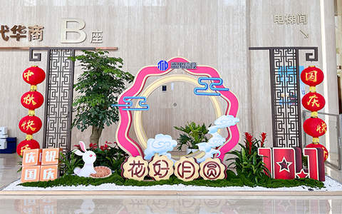 办公室绿植摆放，节日花卉设计摆放计划