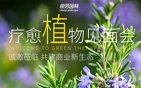 չԤ | ﲩԼղŹҵ̬